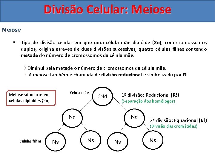 Divisão Celular: Meiose § Tipo de divisão celular em que uma célula mãe diplóide