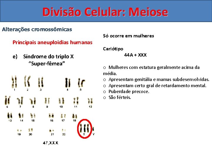 Divisão Celular: Meiose Alterações cromossômicas Principais aneuploidias humanas e) Síndrome do triplo X “Super-fêmea”