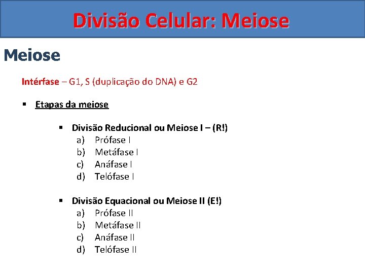 Divisão Celular: Meiose Intérfase – G 1, S (duplicação do DNA) e G 2