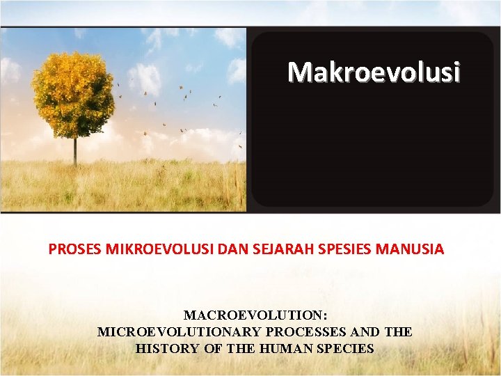 Makroevolusi PROSES MIKROEVOLUSI DAN SEJARAH SPESIES MANUSIA MACROEVOLUTION: MICROEVOLUTIONARY PROCESSES AND THE HISTORY OF