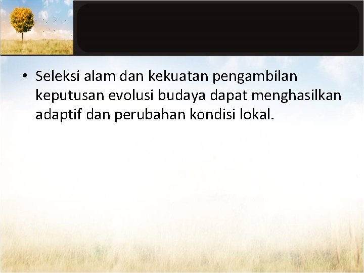  • Seleksi alam dan kekuatan pengambilan keputusan evolusi budaya dapat menghasilkan adaptif dan