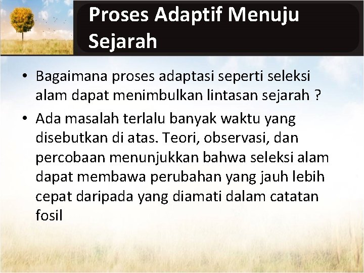 Proses Adaptif Menuju Sejarah • Bagaimana proses adaptasi seperti seleksi alam dapat menimbulkan lintasan