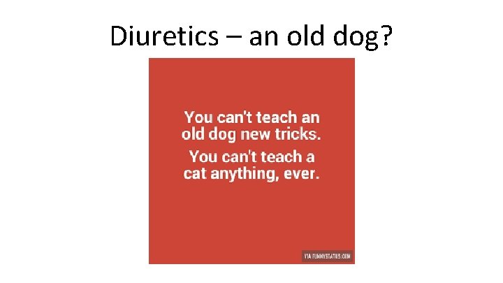 Diuretics – an old dog? Diuretics – an old dog?
