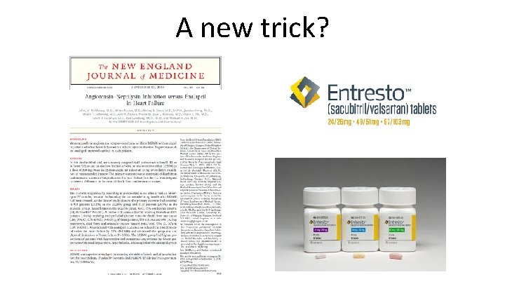 A new trick? A new trick?