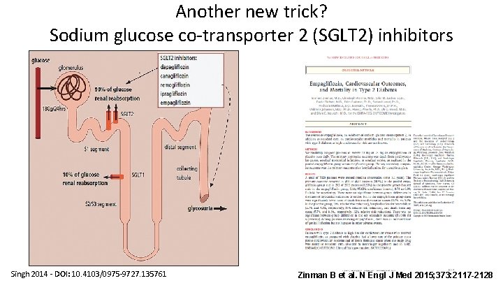 Another new trick? Sodium glucose co-transporter 2 (SGLT 2) inhibitors Singh 2014 - DOI: Another new trick? Sodium glucose co-transporter 2 (SGLT 2) inhibitors Singh 2014 - DOI:
