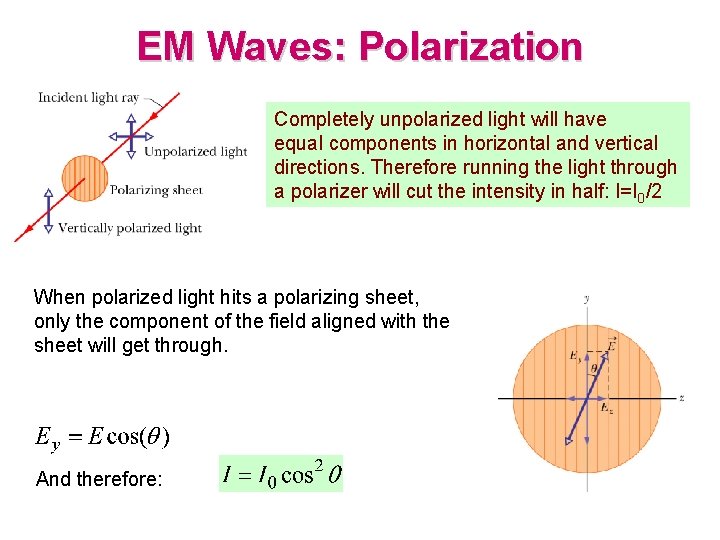 EM Waves: Polarization Completely unpolarized light will have equal components in horizontal and vertical