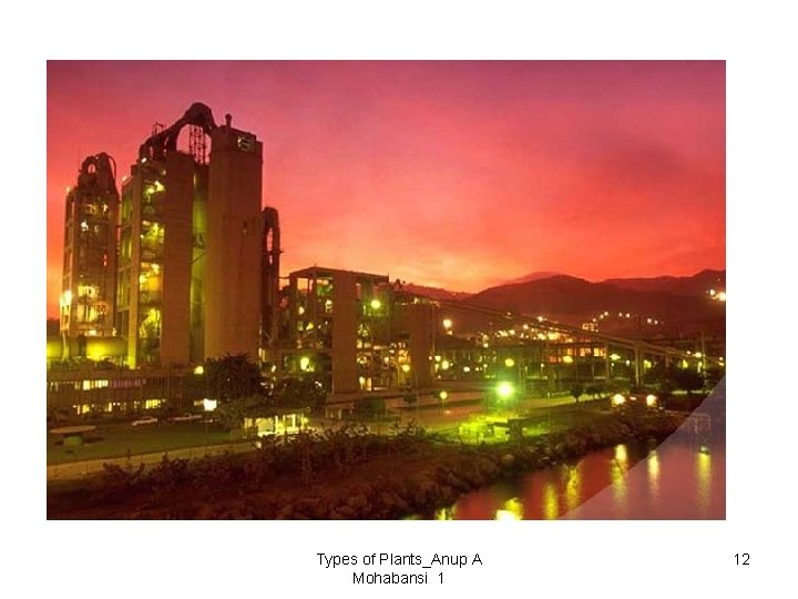 Types of Plants_Anup A Mohabansi 1 12 