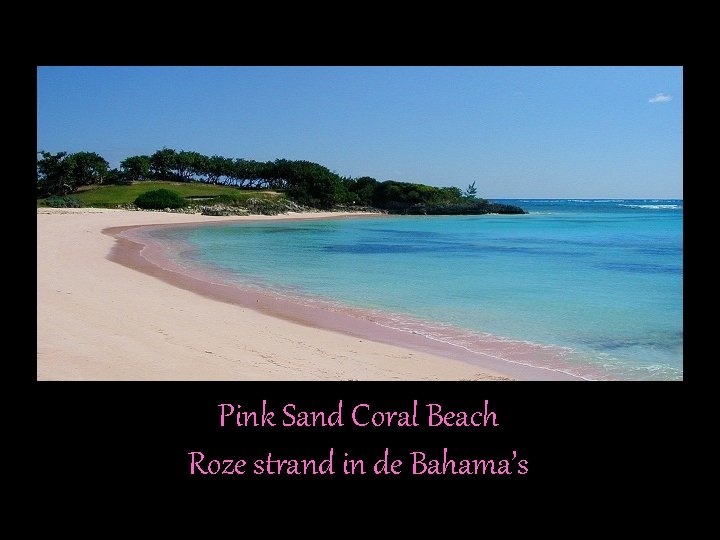 Pink Sand Coral Beach Roze strand in de Bahama’s 