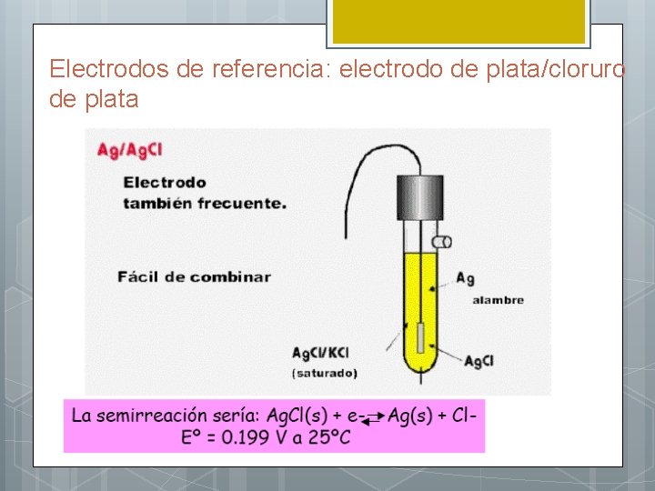 Electrodos de referencia: electrodo de plata/cloruro de plata 