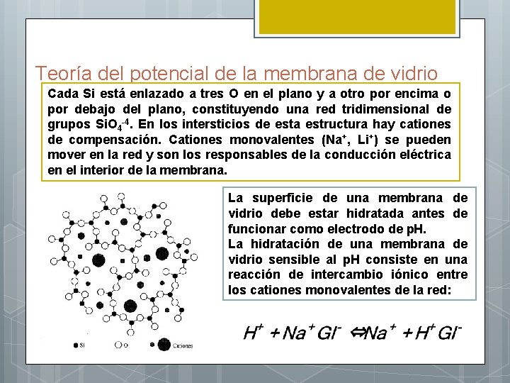 Teoría del potencial de la membrana de vidrio Cada Si está enlazado a tres