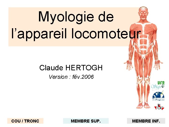 Myologie de l’appareil locomoteur Claude HERTOGH Version : fév. 2006 COU / TRONC MEMBRE