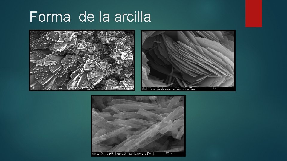 Forma de la arcilla Forma de la arcilla