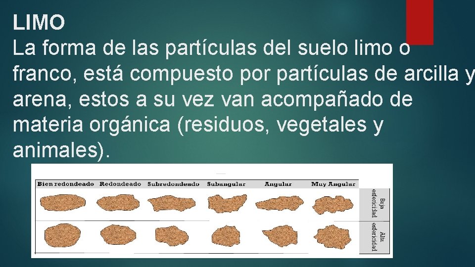 LIMO La forma de las partículas del suelo limo o franco, está compuesto por LIMO La forma de las partículas del suelo limo o franco, está compuesto por