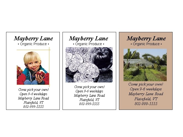 Mayberry Lane • Organic Produce • Come pick your own! Open 9 -6 weekdays