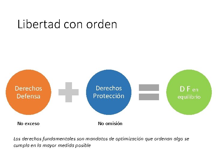 Libertad con orden Derechos Defensa Derechos Protección No exceso No omisión D F en