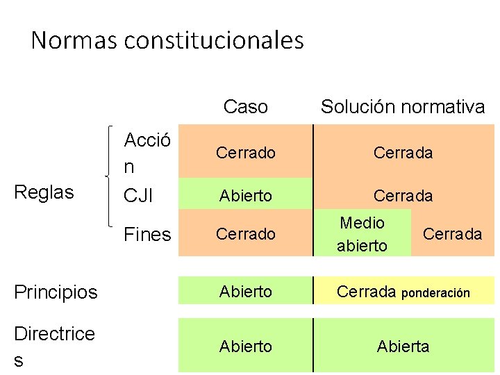 Normas constitucionales Reglas Acció n CJI Fines Principios Directrice s Caso Solución normativa Cerrado