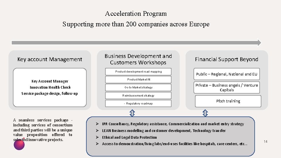 Acceleration Program Supporting more than 200 companies across Europe Key account Management Business Development