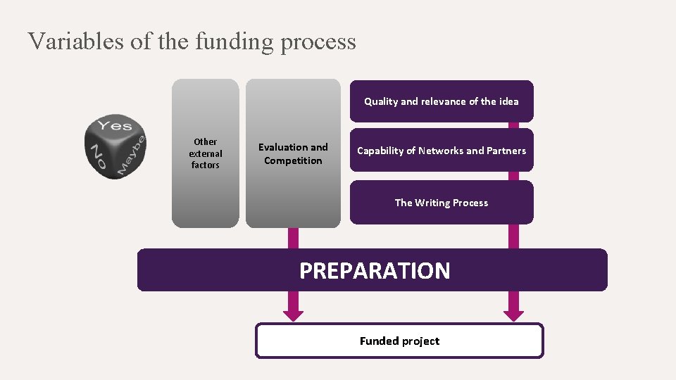 Variables of the funding process Quality and relevance of the idea Other external factors