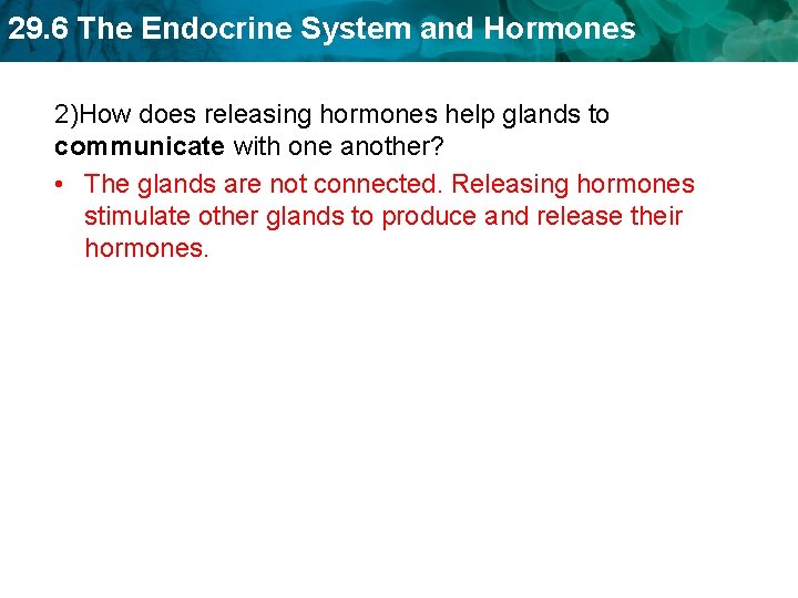 29. 6 The Endocrine System and Hormones 2)How does releasing hormones help glands to 29. 6 The Endocrine System and Hormones 2)How does releasing hormones help glands to