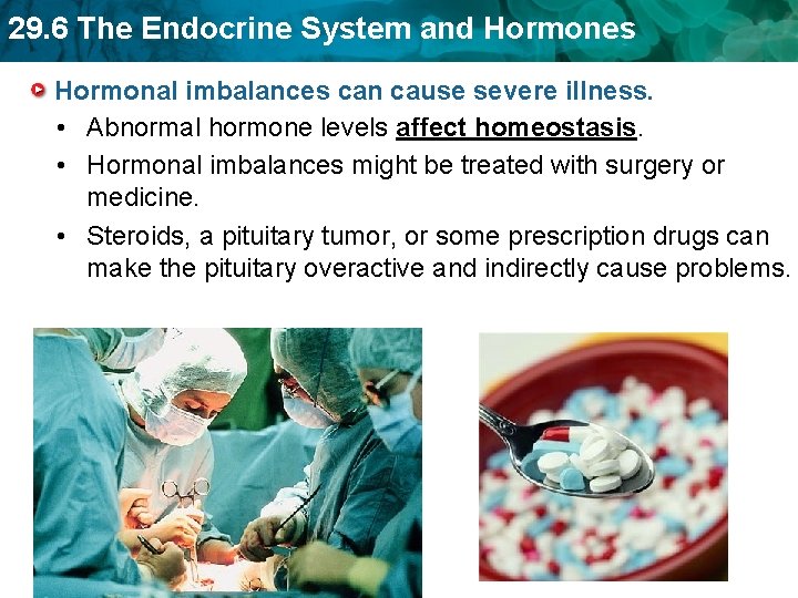 29. 6 The Endocrine System and Hormones Hormonal imbalances can cause severe illness. • 29. 6 The Endocrine System and Hormones Hormonal imbalances can cause severe illness. •