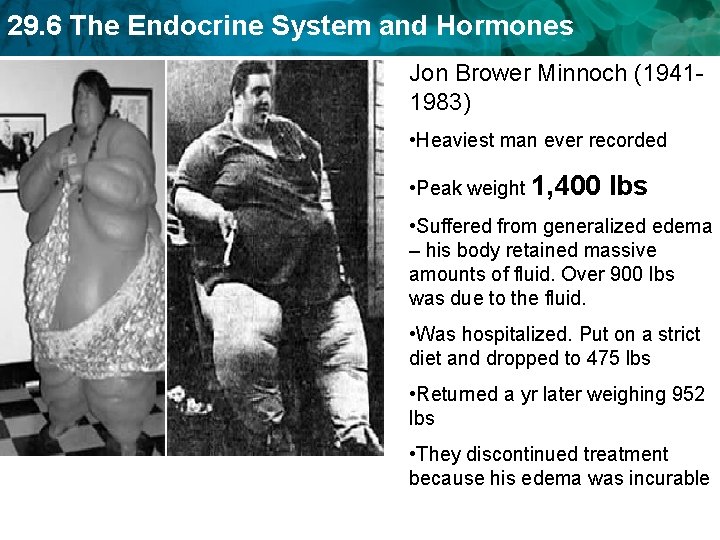 29. 6 The Endocrine System and Hormones Jon Brower Minnoch (19411983) • Heaviest man 29. 6 The Endocrine System and Hormones Jon Brower Minnoch (19411983) • Heaviest man