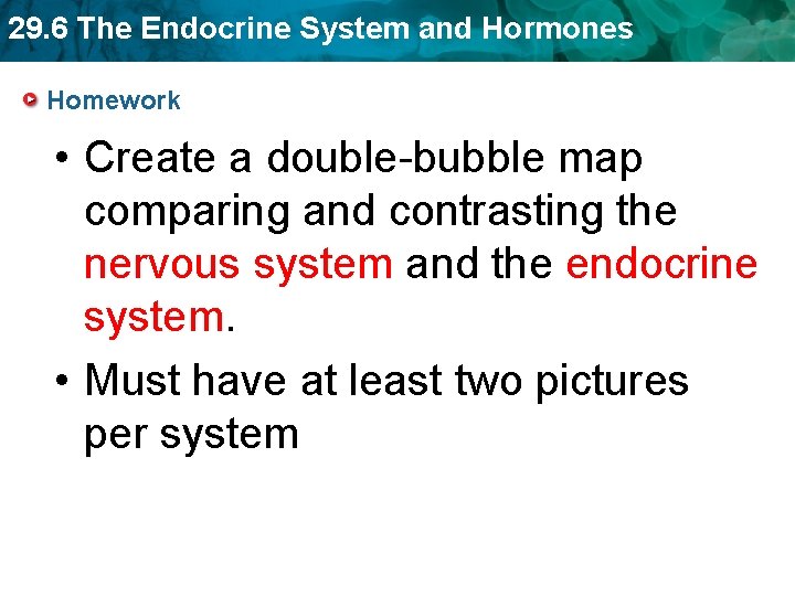 29. 6 The Endocrine System and Hormones Homework • Create a double-bubble map comparing 29. 6 The Endocrine System and Hormones Homework • Create a double-bubble map comparing