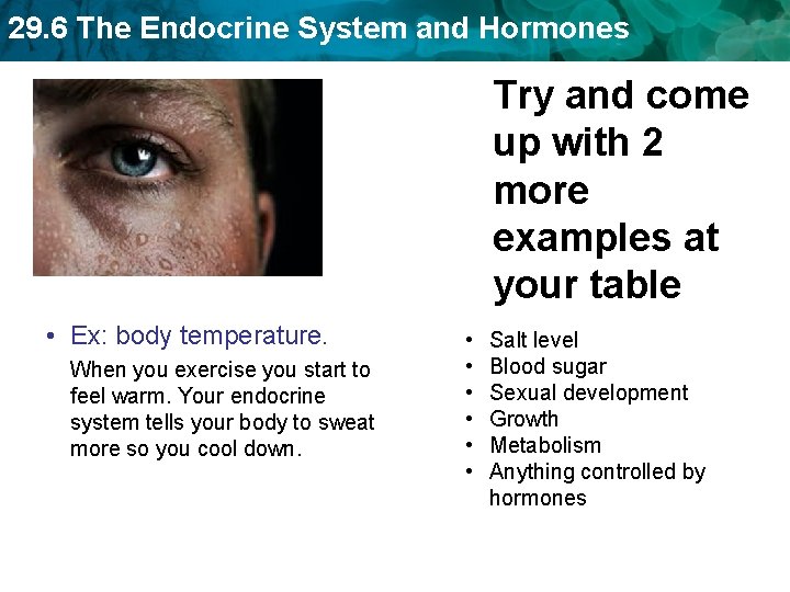 29. 6 The Endocrine System and Hormones Try and come up with 2 more 29. 6 The Endocrine System and Hormones Try and come up with 2 more