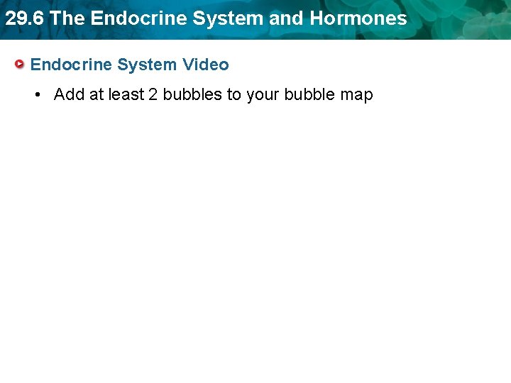 29. 6 The Endocrine System and Hormones Endocrine System Video • Add at least 29. 6 The Endocrine System and Hormones Endocrine System Video • Add at least