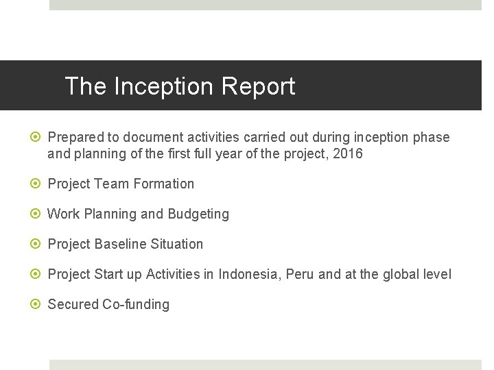 The Inception Report Prepared to document activities carried out during inception phase and planning