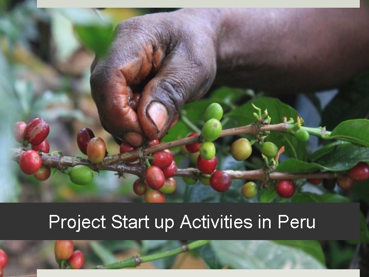 Project Start up Activities in Peru 