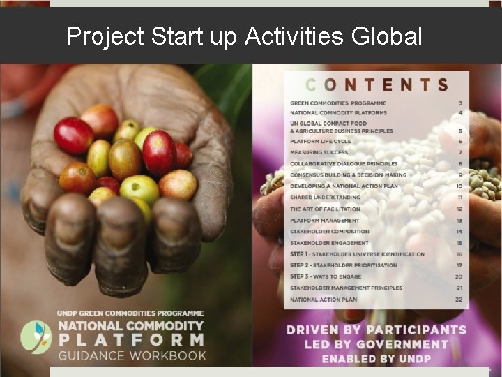 Project Start up Activities Global 