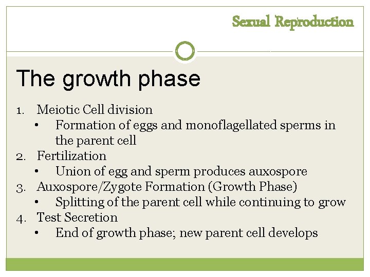 Sexual Reproduction The growth phase 1. Meiotic Cell division • Formation of eggs and