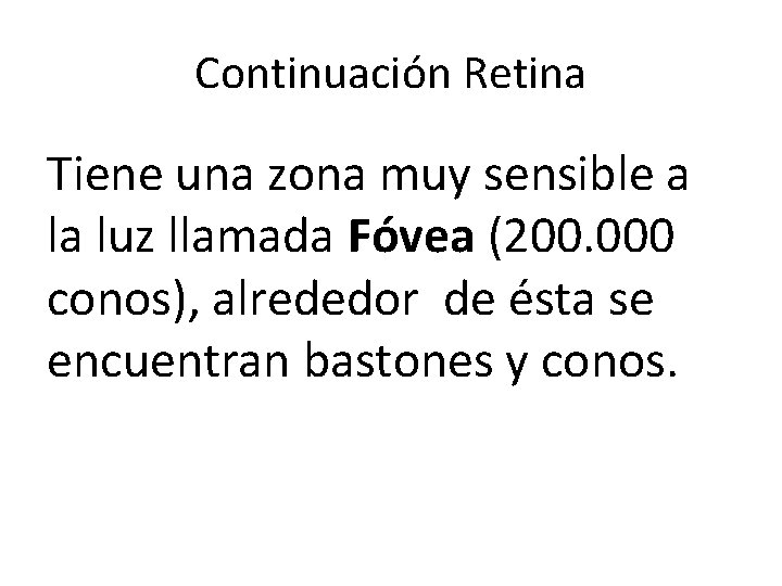 Continuación Retina Tiene una zona muy sensible a la luz llamada Fóvea (200. 000