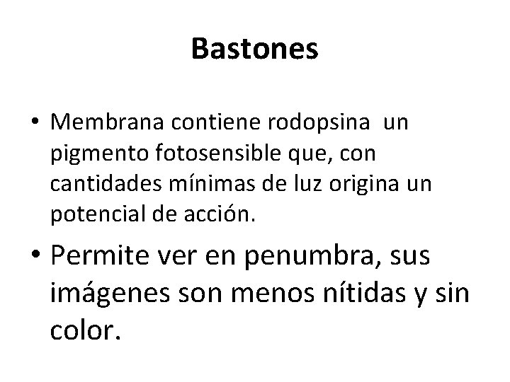 Bastones • Membrana contiene rodopsina un pigmento fotosensible que, con cantidades mínimas de luz