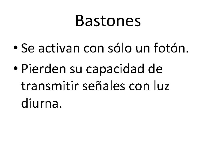 Bastones • Se activan con sólo un fotón. • Pierden su capacidad de transmitir