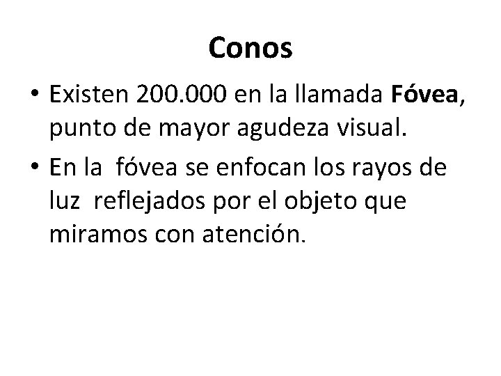 Conos • Existen 200. 000 en la llamada Fóvea, punto de mayor agudeza visual.