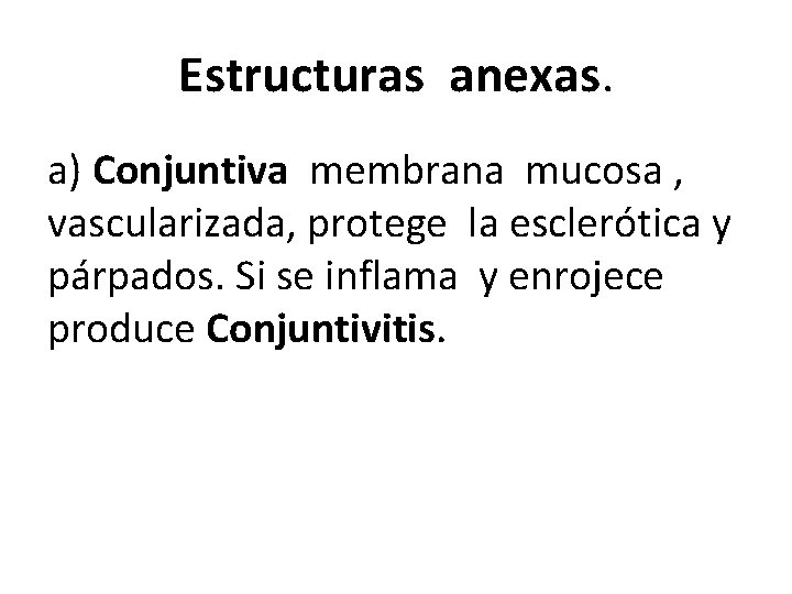 Estructuras anexas. a) Conjuntiva membrana mucosa , vascularizada, protege la esclerótica y párpados. Si