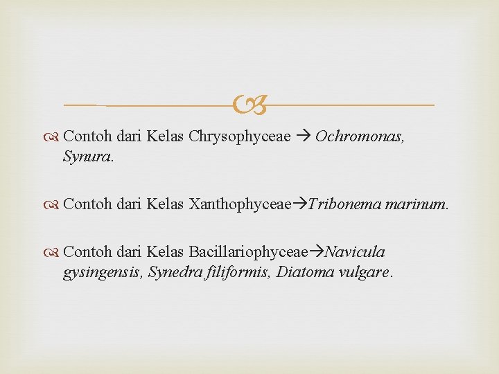  Contoh dari Kelas Chrysophyceae Ochromonas, Synura. Contoh dari Kelas Xanthophyceae Tribonema marinum. Contoh