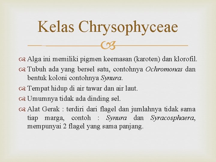 Kelas Chrysophyceae Alga ini memiliki pigmen keemasan (karoten) dan klorofil. Tubuh ada yang bersel