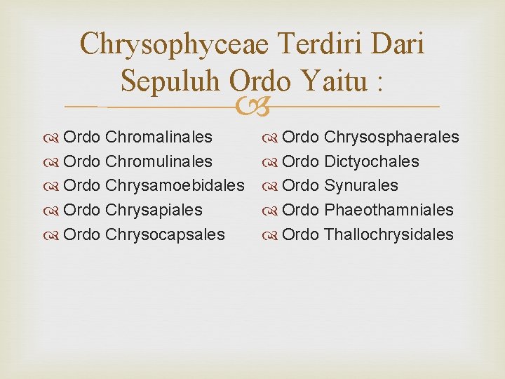 Chrysophyceae Terdiri Dari Sepuluh Ordo Yaitu : Ordo Chromalinales Ordo Chromulinales Ordo Chrysamoebidales Ordo