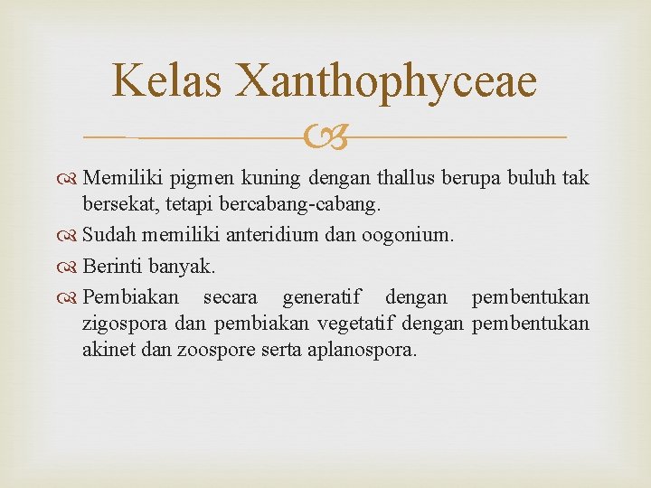 Kelas Xanthophyceae Memiliki pigmen kuning dengan thallus berupa buluh tak bersekat, tetapi bercabang-cabang. Sudah