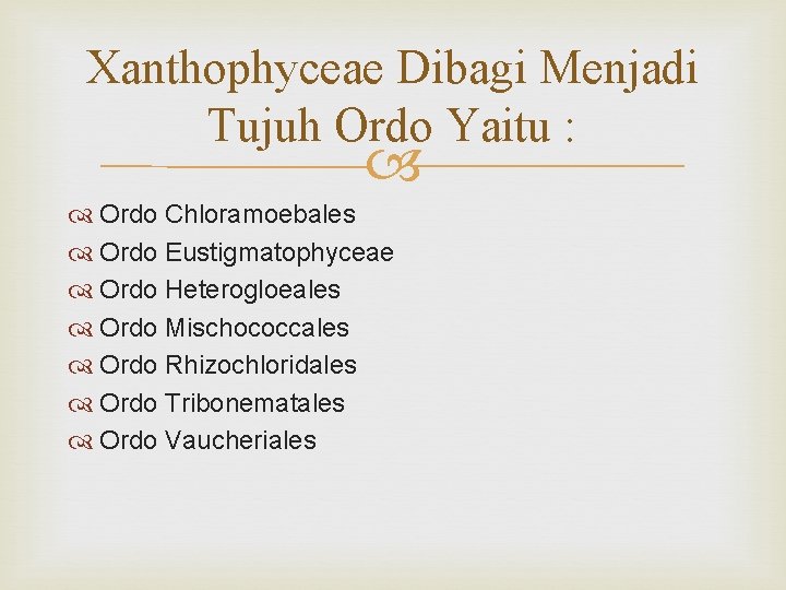 Xanthophyceae Dibagi Menjadi Tujuh Ordo Yaitu : Ordo Chloramoebales Ordo Eustigmatophyceae Ordo Heterogloeales Ordo