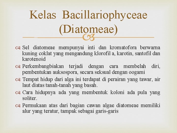 Kelas Bacillariophyceae (Diatomeae) Sel diatomeae mempunyai inti dan kromatofora berwarna kuning coklat yang mengandung
