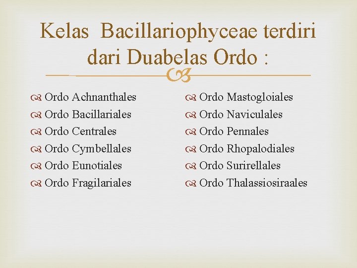 Kelas Bacillariophyceae terdiri dari Duabelas Ordo : Ordo Achnanthales Ordo Bacillariales Ordo Centrales Ordo