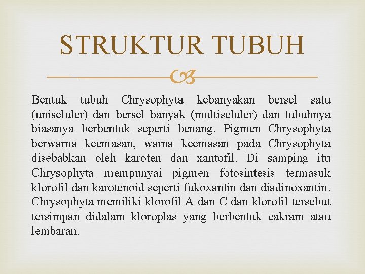 STRUKTUR TUBUH Bentuk tubuh Chrysophyta kebanyakan bersel satu (uniseluler) dan bersel banyak (multiseluler) dan