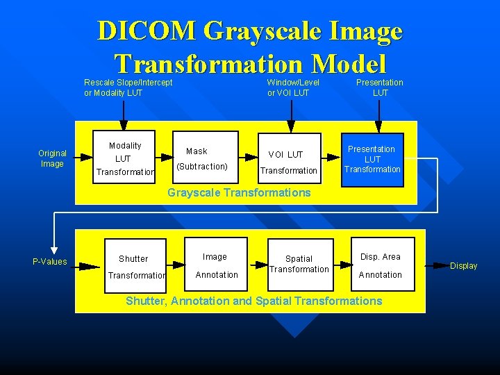 DICOM Grayscale Image Transformation Model Rescale Slope/Intercept or Modality LUT Original Image Modality LUT