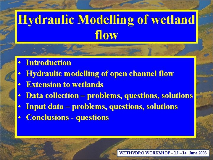 Hydraulic Modelling of wetland flow • • • Introduction Hydraulic modelling of open channel