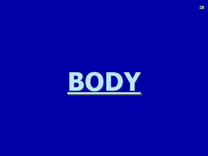 28 BODY 