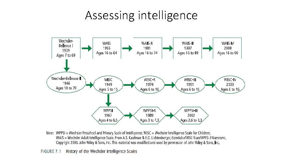 Assessing intelligence 