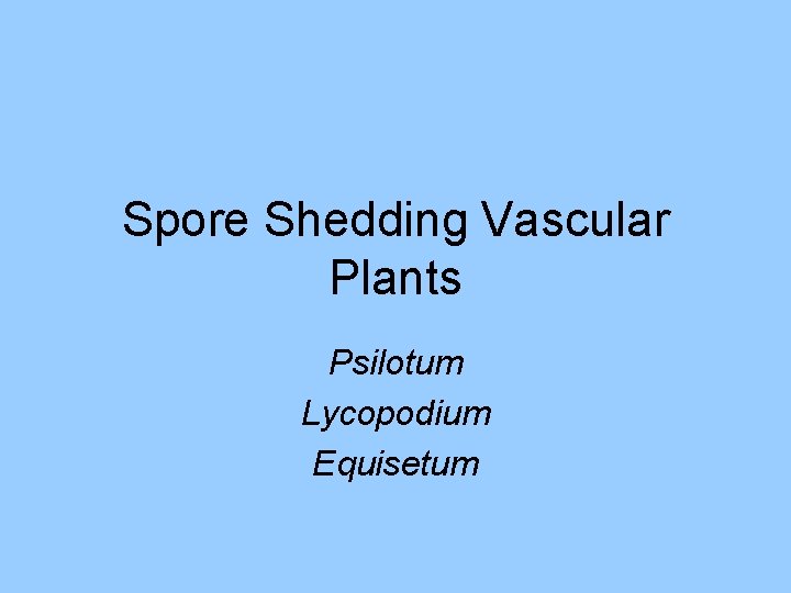 Spore Shedding Vascular Plants Psilotum Lycopodium Equisetum Spore Shedding Vascular Plants Psilotum Lycopodium Equisetum